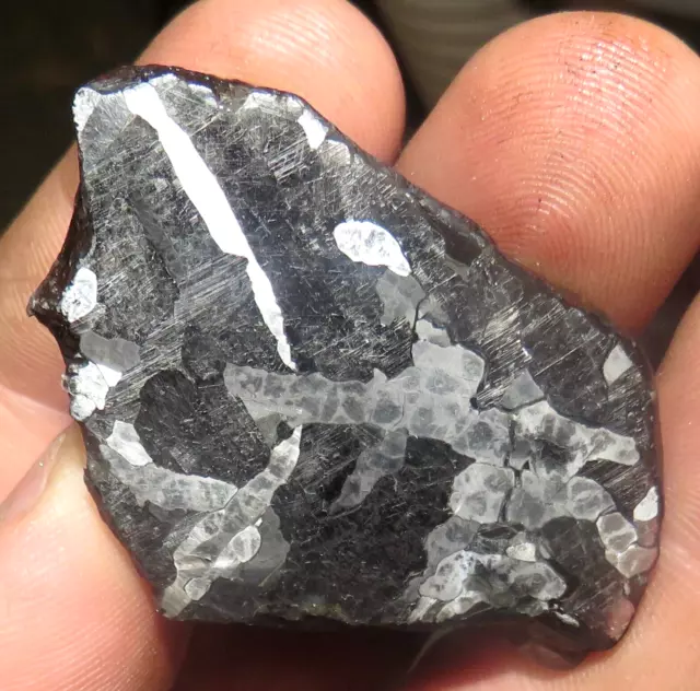 Beautiful 103 Gm. Etched Canyon Diablo Meteorite End Cut Arizona