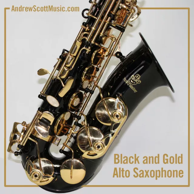Alto Saxophone - Black - New in Case - Masterpiece
