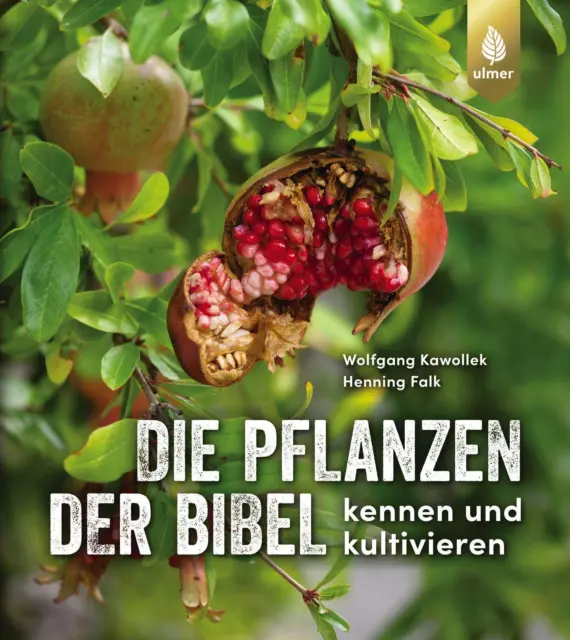 Wolfgang Kawollek (u. a.) | Die Pflanzen der Bibel | Taschenbuch | Deutsch