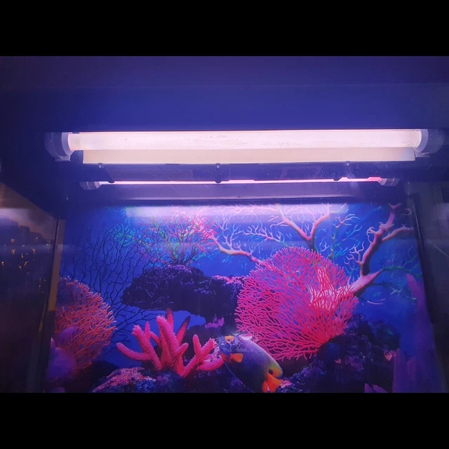 USED Fluval aquarium fish tank 3