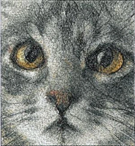 Embroidered Fleece Jacket - Grey Cat Eyes AED16257 Sizes S - XXL