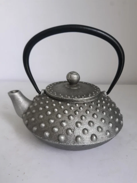 Japanese Nanbu Roji Silver Cast Iron Teapot Holds About 10 OZ Enamel Lined 