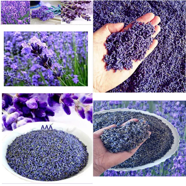 Dried French lavender strong fragrance highly aromatic..
