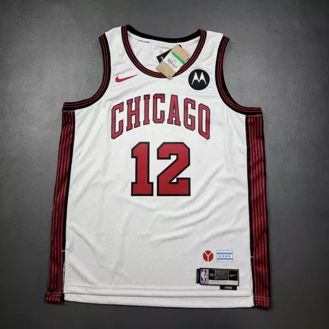 Chicago Bulls Ayo Dosunmu Nike Statement Swingman Jersey