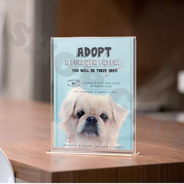 DL A5 A4 A3 Size Double Sided Sign Holder Acrylic Retail Display Stands Menu 2