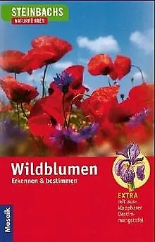 Steinbachs Naturführer. Wildblumen. Erkennen und be... | Buch | Zustand sehr gut