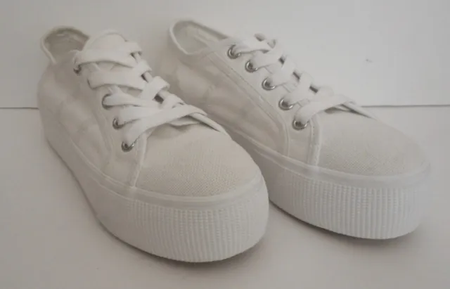 Women's All White Steve Madden Shoes. Casual Sneakers. 1.5" Lift, Size 6m, New
