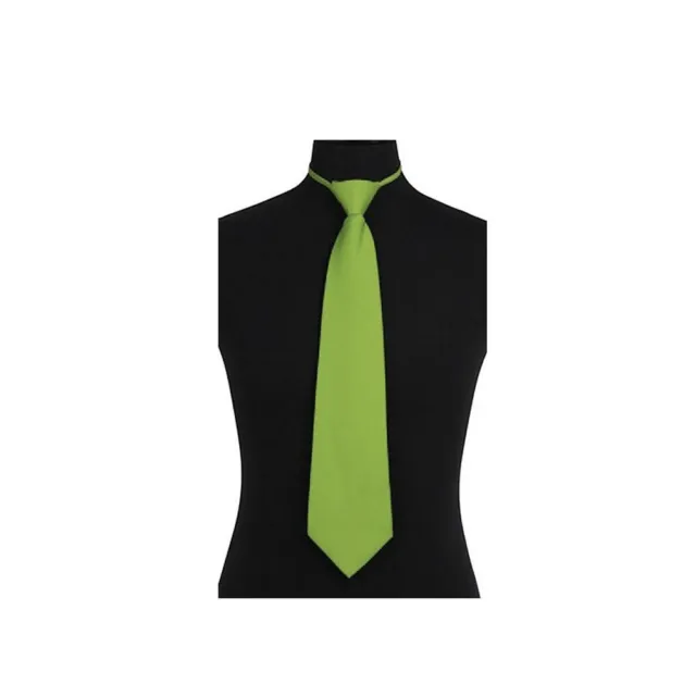 New Polyester Men's ready knot pre tied neck tie only solid formal mint wedding