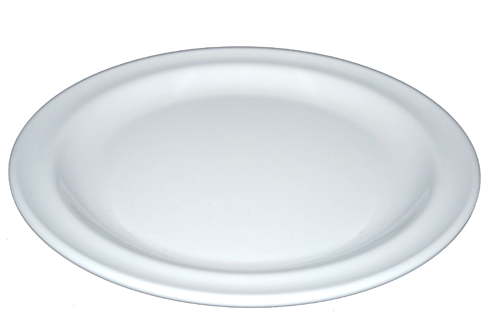 reusable paper plates