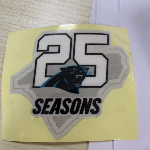 carolina panthers 25th anniversary jersey