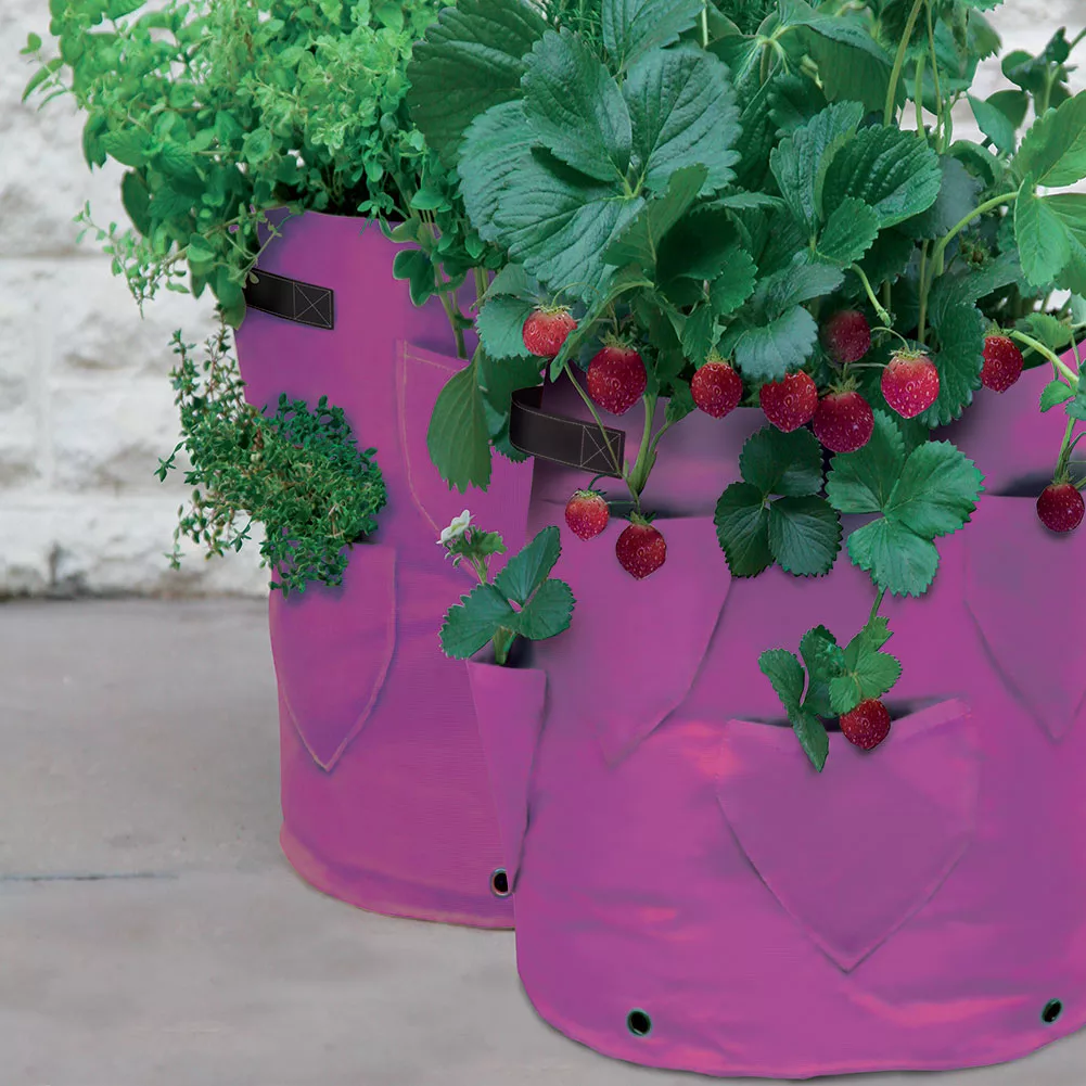 LARGE 45 LITRE Plastic Herb Strawberry Planter Grow Bag 