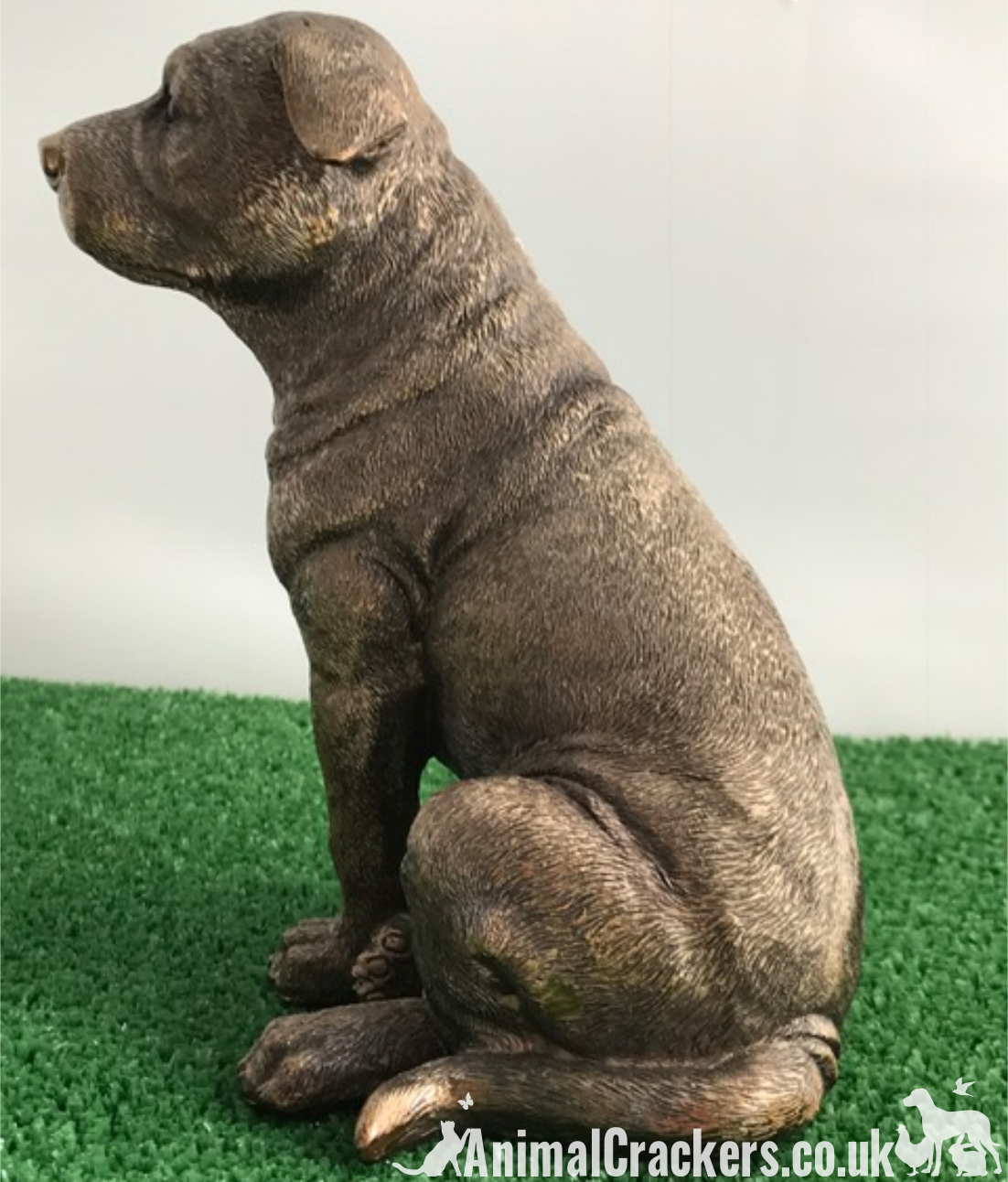 leonardo staffordshire bull terrier