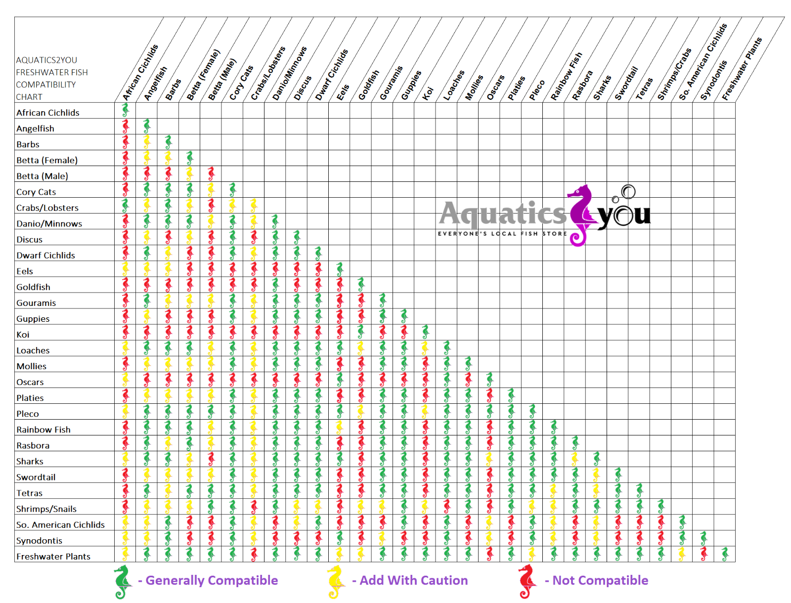 Siamese Fighting Fish Compatibility Chart