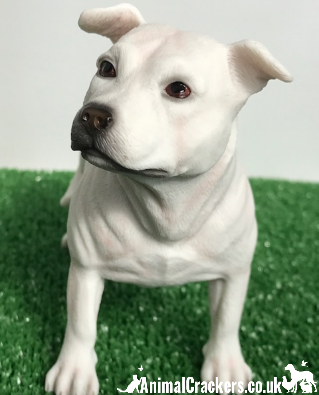 leonardo staffordshire bull terrier