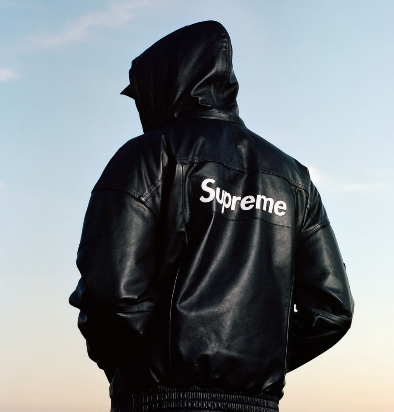 supreme nike leather anorak