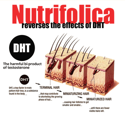 4month Nutrifolica Hair Loss Regrow Grow Fast Growth Regrowth