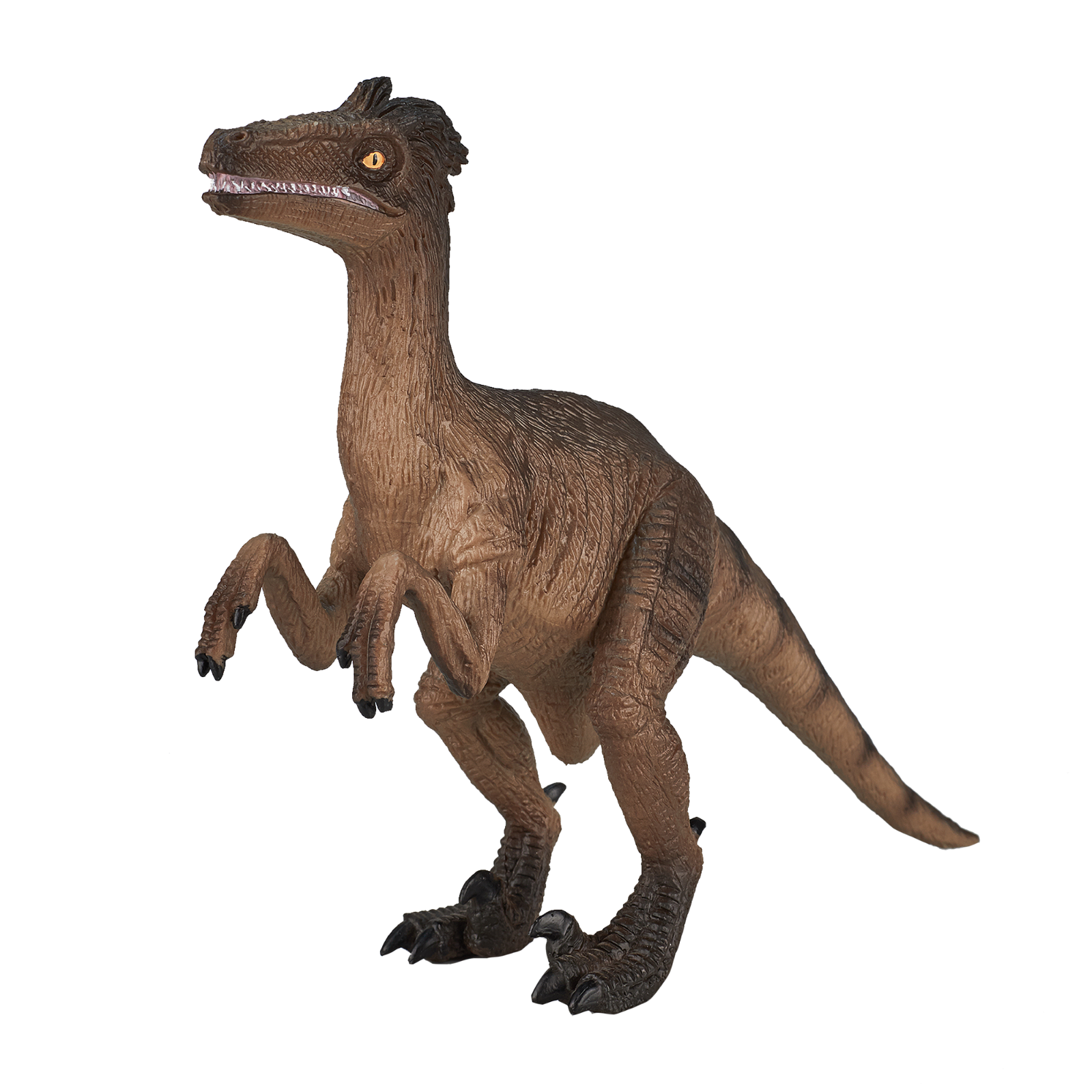 Details about   Different Color Model Collectable Dinosaur Gift Jurassic Prehistoric Figure 