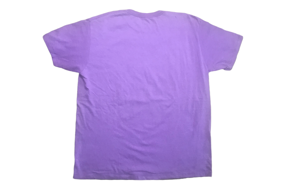 Wwe Mens Macho Man Randy Savage Glasses Wwf Wrestler Licensed T Shirt Purple New 14 99 Picclick