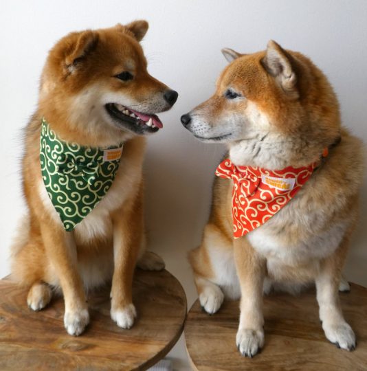 Kawaii Shiba Co Karakusa Japanese Shiba Inu Dog Bandana