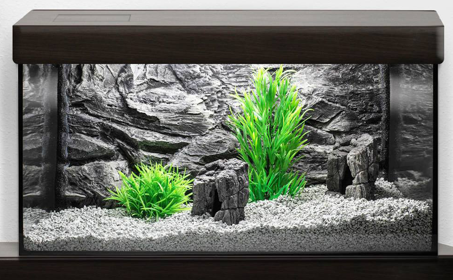 AQUARIUM FISH TANK Solid Background 3D Dark Grey Rock Wall Vivarium