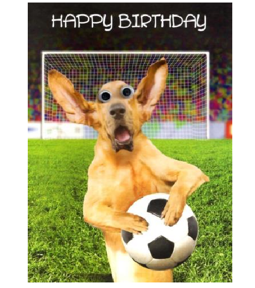 Joyeux Anniversaire Carte De Vœux Mignon But Gardien Chien Avec Gros Yeux Eur 14 33 Picclick Fr