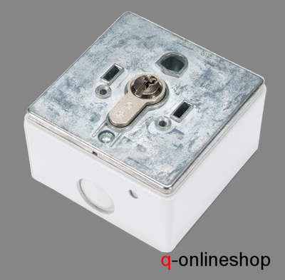 SCHLÜSSEL TASTER / Schlüsselschalter Aufputz f. Garagentor Metall IP 54