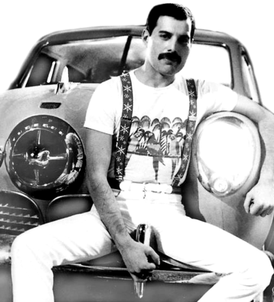 freddie mercury parrot t shirt