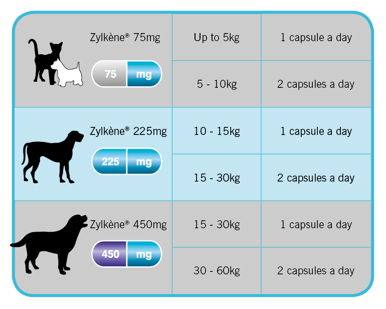 Zylkene X 20 Gélules Chat Chien Comportementales Support