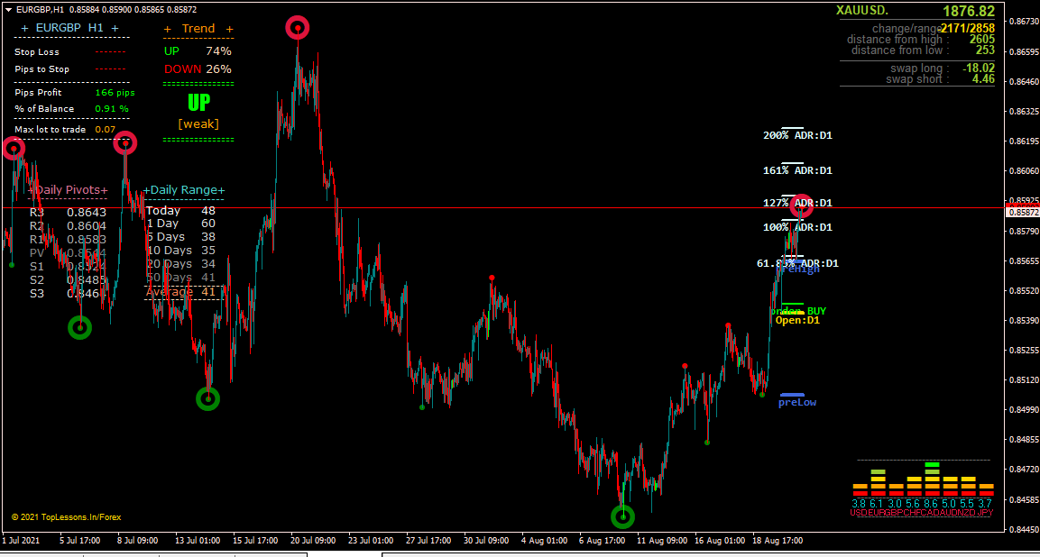 gdmfx binary options