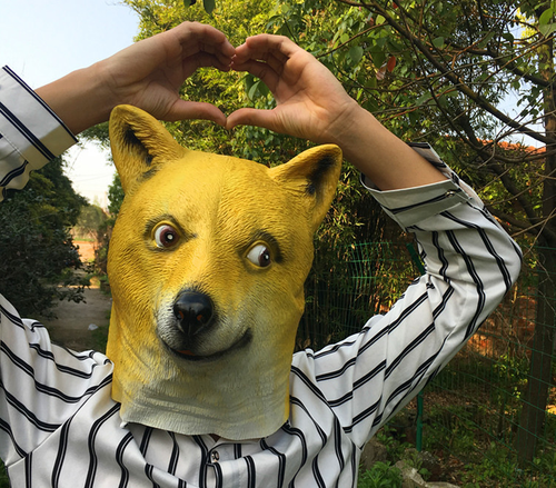 Doge Meme Joke Dog Shiba Full Head Funny Mask Party Cosplay