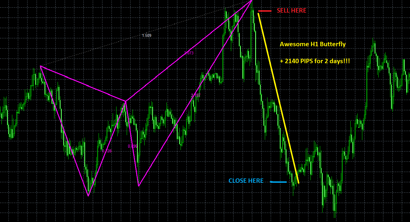 New Version 3 Gartley Butterfly Pattern Forex Indicator Fx Crypto Mt4 Alerts - 