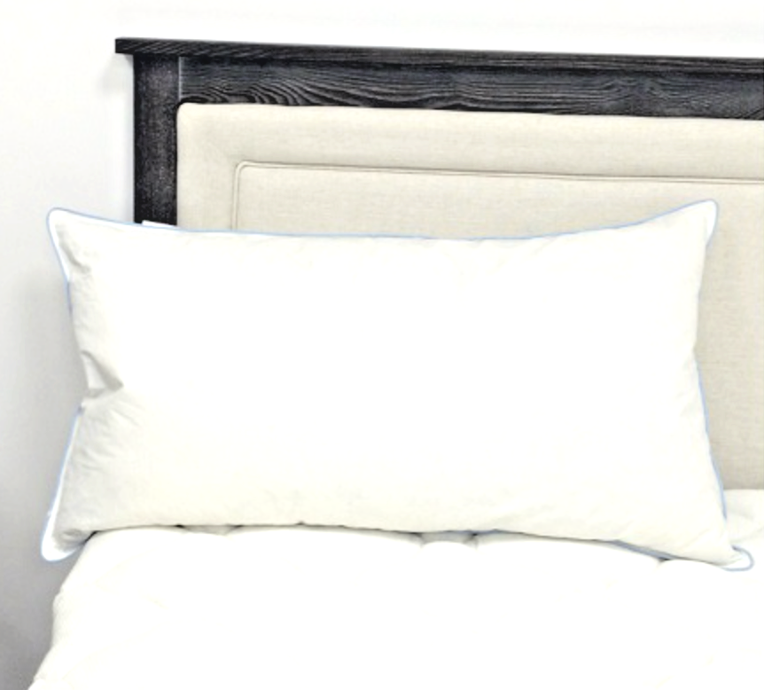 Pacific Coast Feather Touch Of Down Pillow In A Pillow Queen