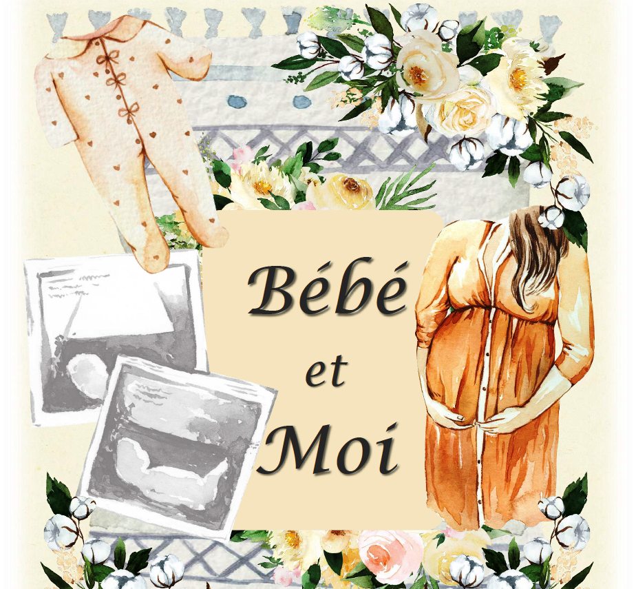 Mon Carnet De Grossesse Journal De Grossesse A Completer En Attendant Bebe 10 Eur 17 95 Picclick Fr