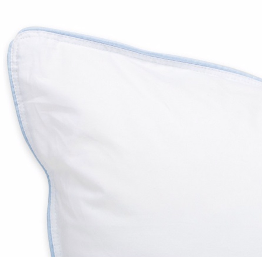 Pacific Coast Feather Touch Of Down Pillow In A Pillow Queen