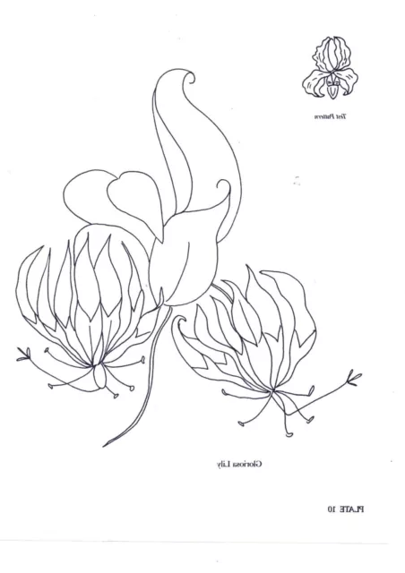 Tropical Flowers Embroidery Transfer Iron On plate NO  size 20.5 x 28 cm