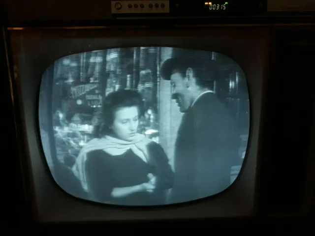 TV MINERVA Schermo 21" Pollici Bianco e nero - Televisore Vintage FUNZIONANTE