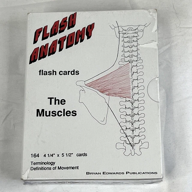 Anatomy 1 Axial Muscles Flash Cards By Cueflash vrogue.co