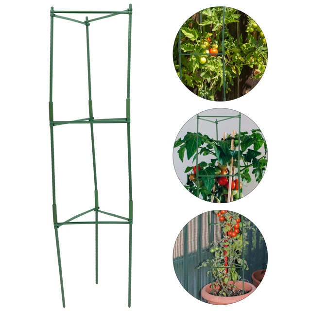 Treillis De Jardin De 200 Cm De Haut Pour Plantes Grimpantes - Cadre D'escalade Avec Treillis Métallique Antirouille - Noir - Hauteur : 200 Cm