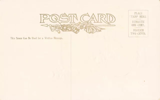 1909 Native American Postcard Navajo Blanket Weaver Swastika Whirling Log 2