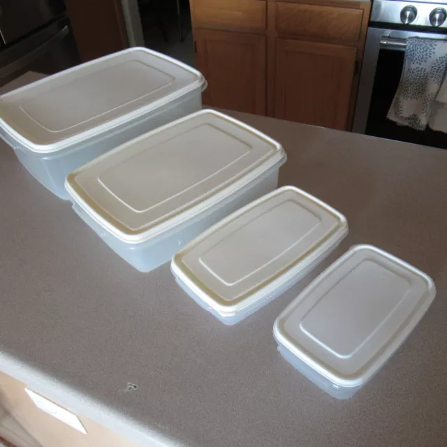 https://www.picclickimg.com/00EAAOSw8RZk4SVl/Rubbermaid-Servin-Saver-Storage-Containers-8-7-5.webp
