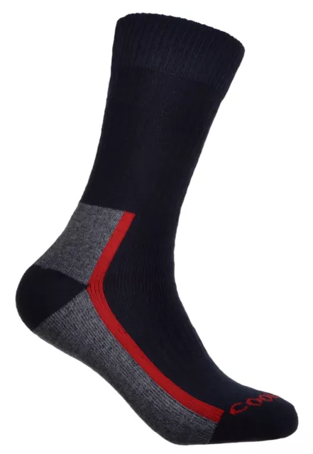 WB Socks Men's Thick Cotton Coolmax Socks 2 pair Pack