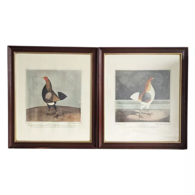 Pair of Engravings after James Pollard, "Phenomenon" & "Cheshire Pile", Framed