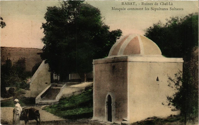 CPA AK RABAT Ruines de Chel La Mosquee contenant MAROC (824762)