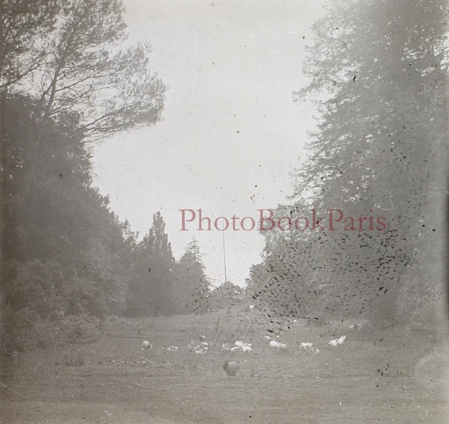 FRANCE Mirabeau c1930 Photo Plaque de verre Stereo Vintage V17T13n1