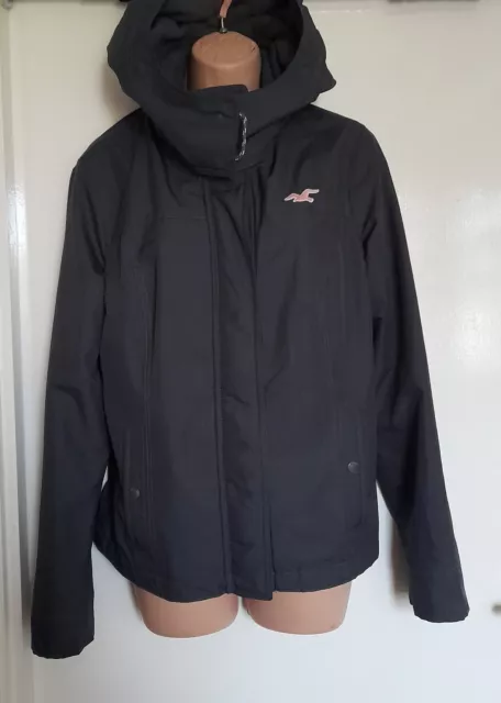 Hollister online california coat