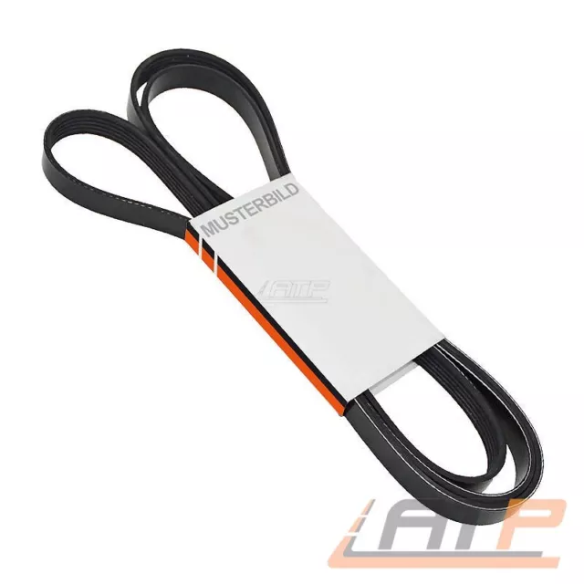CINGHIA A COSTINE CUNEO PER BMW SERIE 1 E87 118-d 120-d