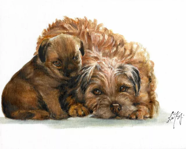 ❈ Original Oil Portrait Painting BORDER TERRIER Puppy Dog Artist Signed Artwork