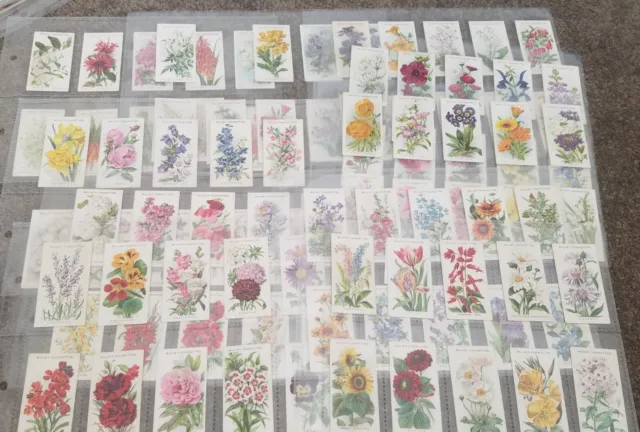 1910/13 Wd Wills Old English Garden Flowers 1St & 2Nd Sets 99/100