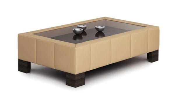 TABLE BASSE TABLE de Salon Verre Design Tables D'Appoint Tableaux Sofa