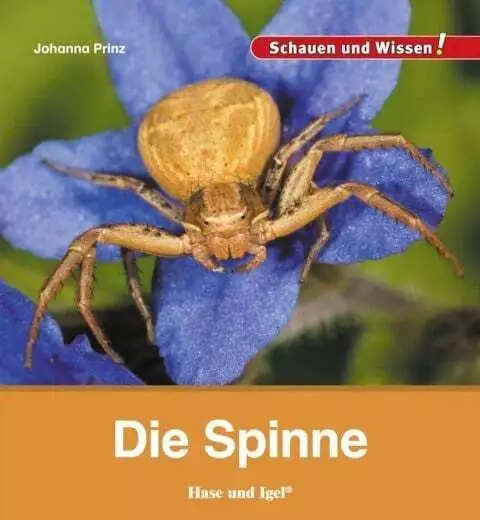 Die Spinne Prinz, Johanna Buch